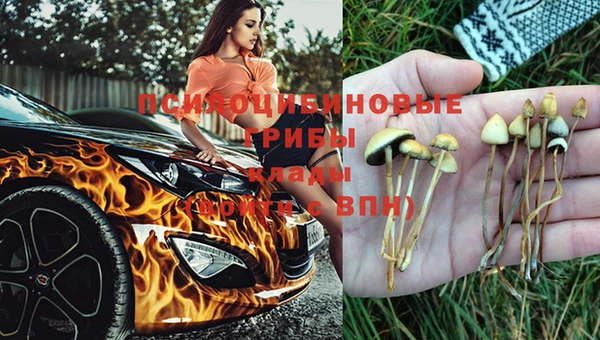 МДПВ Армянск